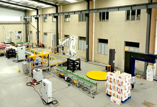 Industry Robot Palletizer and Stretch Film Pallet Wrapping Machine Pallet Packing System
