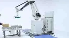 Robot Palletizer 50kg Movable Palletizing Machine for Carton Palletizer with 4 Axis