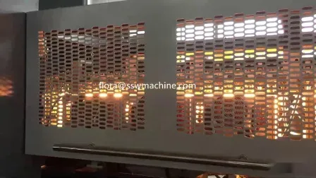 Automatic Rotary Blowing Filling Capping Combiblock 