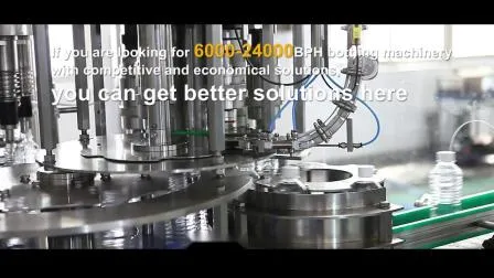 Full Automatic Pet Bottle Blowing Filling Capping Combiblock 