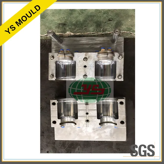 Customized Injection Molding Plastic Pet Bottle Blowing Mould for Household Appliances 